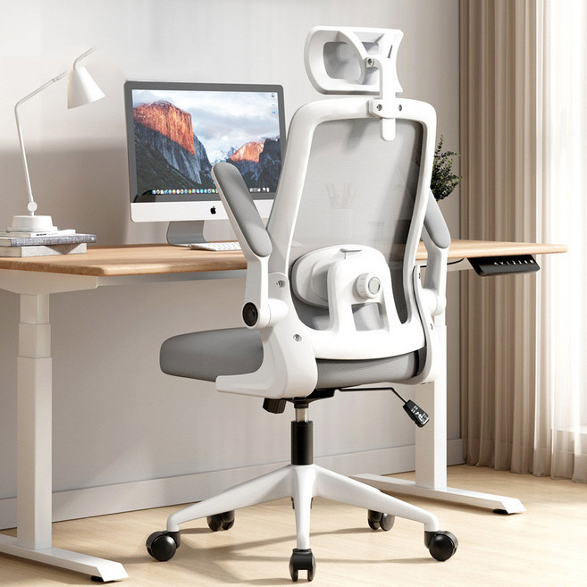 POVEST 컴퓨터 의자 가정용 인체공학 의자 사무용 의자, 회색