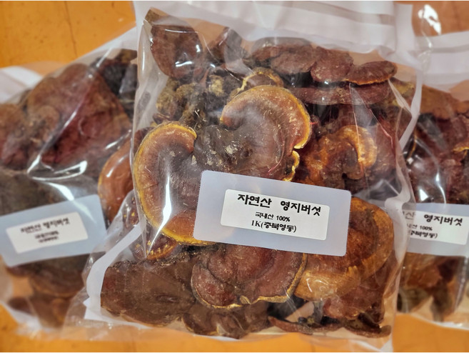 자연산 영지버섯 1K 국내산 영지버섯 100% 국산 영지버섯 정품 특산품 건조영지 original mountain 당일발송, 1개