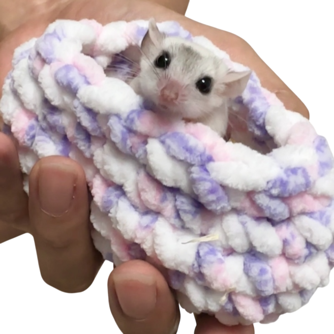 피그미 다람쥐 소동물 핸드메이드 물림방지 교감 포치, 1개, 핑크보라