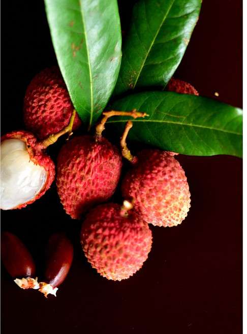 핑크버본 허니리치 원두 / 무산소발효 스페셜티 커피, 1개, 500g, 홀빈(분쇄안함)