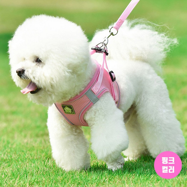 시선집중 소형견 하네스 견인줄 세트구성 원터치 버클, 1개, 핑크
