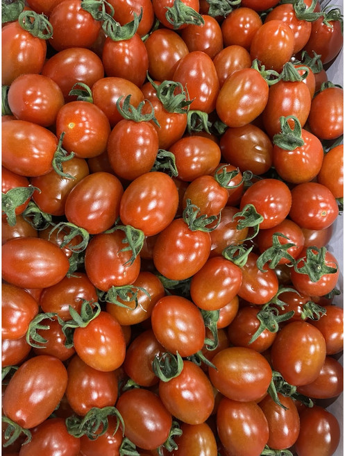 방울미니토마토(중소과), 5kg, 1박스