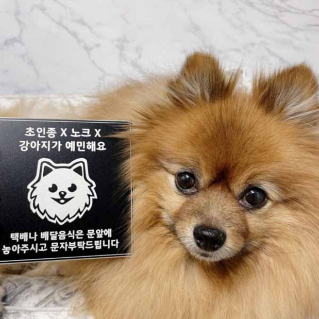 강아지문패 반려견문패 강아지가짖어요 초인종누르지마세요 현관도어사인 스테인리스 알림판, 담당자문자, 108, 실버