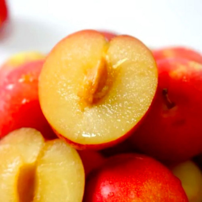 [한정특가] 15brix 과즙팡팡 고당도 경북자두, 1박스, 1kg(중소과)