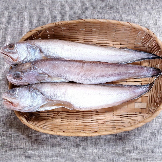 반건조 제수용 / 남해안 삼천포 용궁수산시장 반건조생선 제수용 생선 모듬, 1개, 나막스(40cm이상) 3미