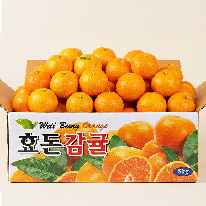 제주 서귀포 효돈 제철감귤, 1박스, 감귤 5kg 꼬마소과