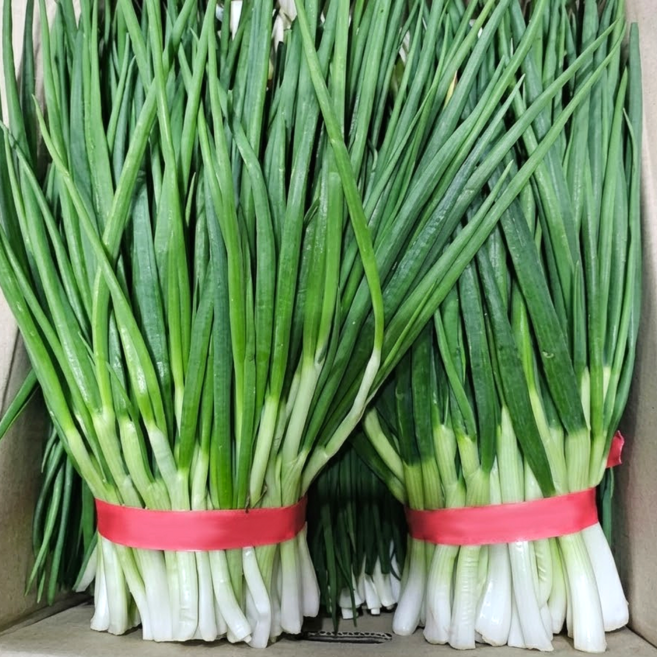 [초특가할인] 쪽파 깐쪽파 다듬은 쪽파 깐파, 1개, 2kg