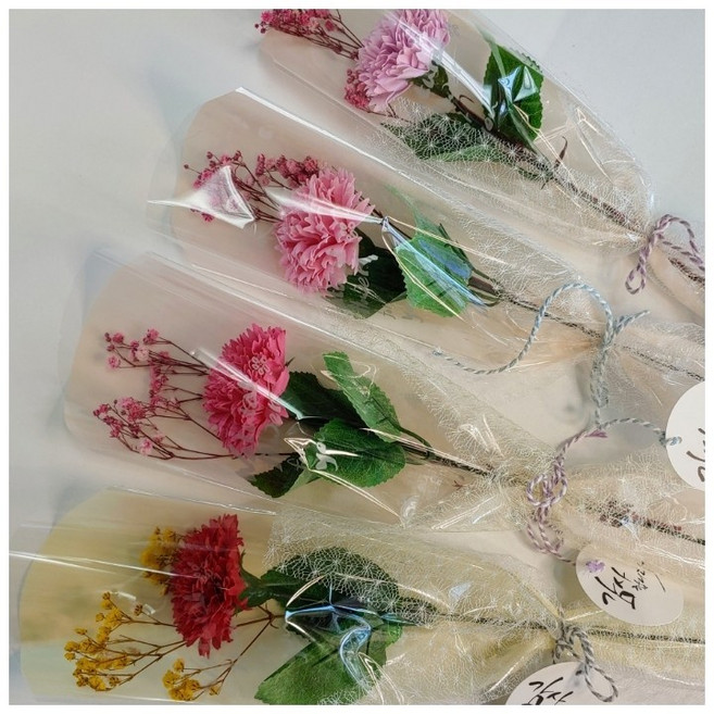 프리져드플라워 비누꽃 카네이션 장미 한송이꽃 어버이날 스승의날, 카네이션-레드