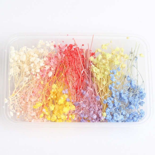 화연양화 프리저브드 드라이플라워 꽃세트 12종 수공예 DIY, 01 파스텔 무지개안개꽃