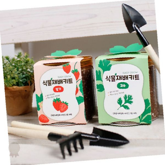 실내 채소 재배키트 가정용 식물 키우기 화분 흙 씨앗 포함 베란다 텃밭 원예 세트, 02딸기
