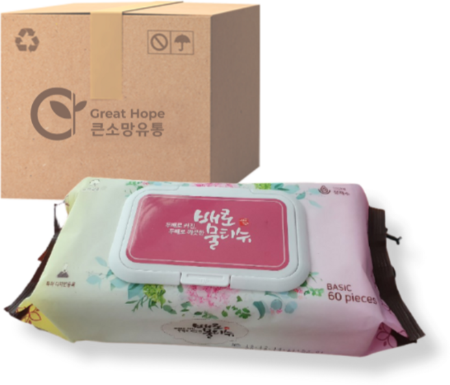 그린동화 배로물티슈 일반 플레인 캡형 60매 20팩 빅사이즈 대형물티슈, 60매입, 10개