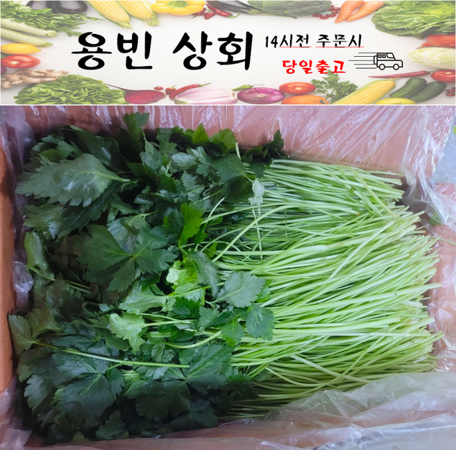 ( 용빈 상회 ) 국내산 참나물 1kg 2kg 4kg내외, 4kg, 1박스