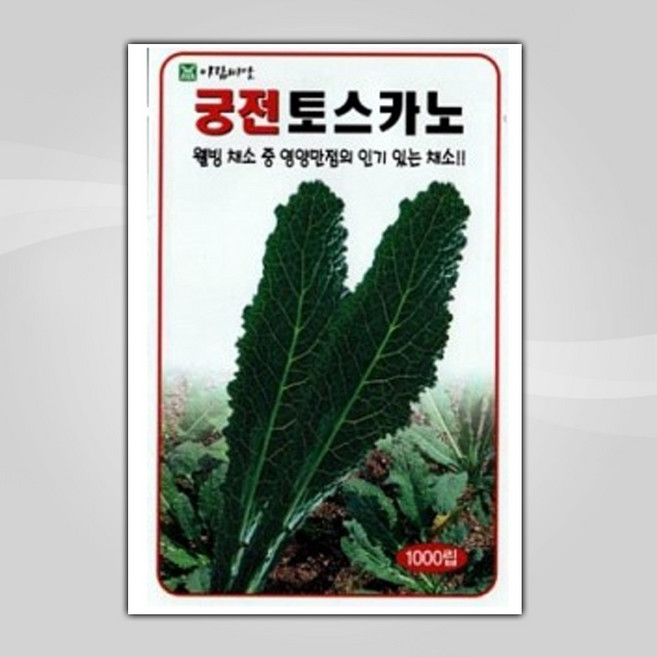 슬로시 상추씨앗 쌈채소씨앗 적치마 양상추 샐러리 5종 혼합상추 씨, 쌈채소 씨앗, 1개