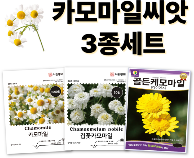 [주주씨앗] 카모마일 허브씨앗 3종세트 캐모마일 겹꽃카모마일 다이어스 골든 캐모마일 종자 씨 허브씨, 1개