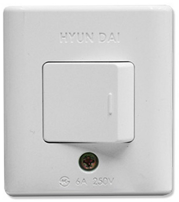 국산 노출 사각 나사형 HES-1 스위치, 1개