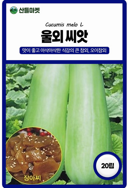 아람종묘 울외 씨앗 20립 오이참외씨 나나스케 종자, 3개