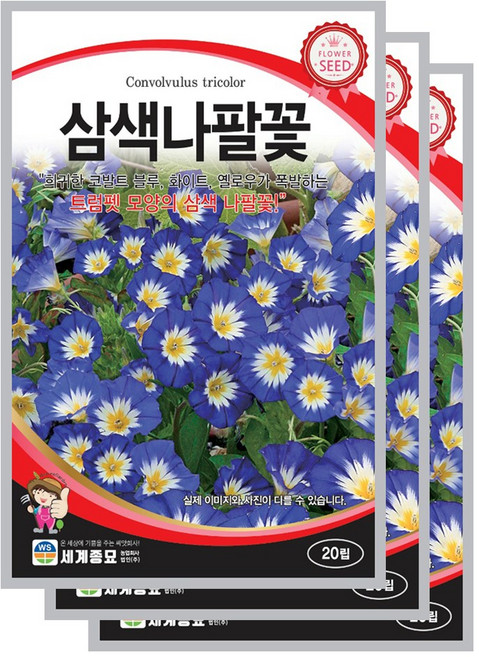 삼색나팔꽃 씨앗 20립 꽃씨앗 세계종묘 모칸도, 3개