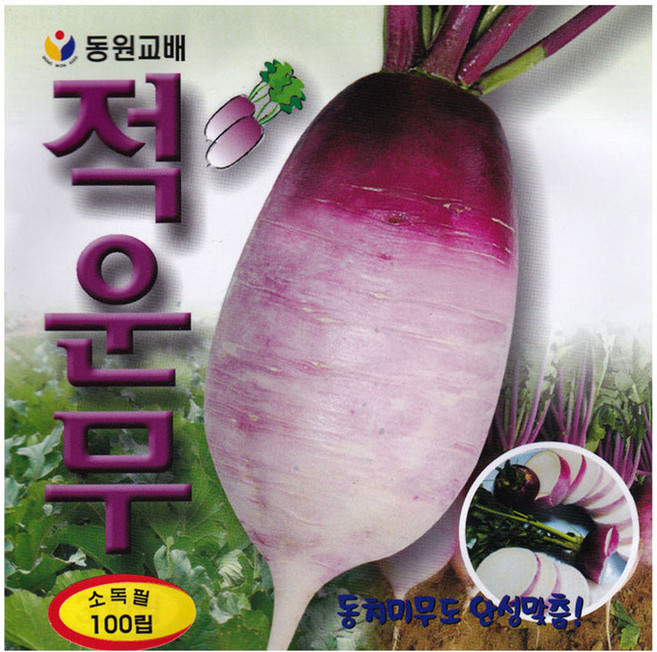 영농사 <적운무 씨앗 100립> 김장무씨, 5개