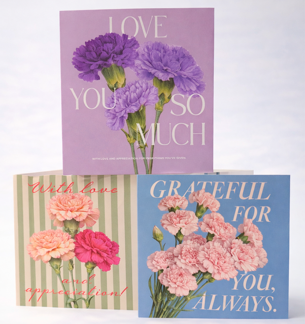 스승의날 어버이날 카네이션 가정의달 감사 엽서 카드, 15개, 파스텔 3종