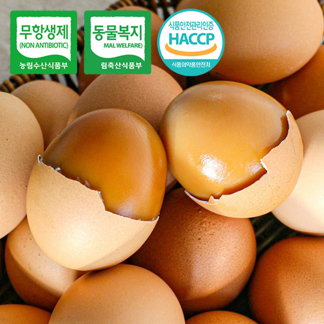 쫀득쫀득 촉촉 탱글 탱글 동물복지유정란으로 만든 무항생제 구운란, 1세트, 40구