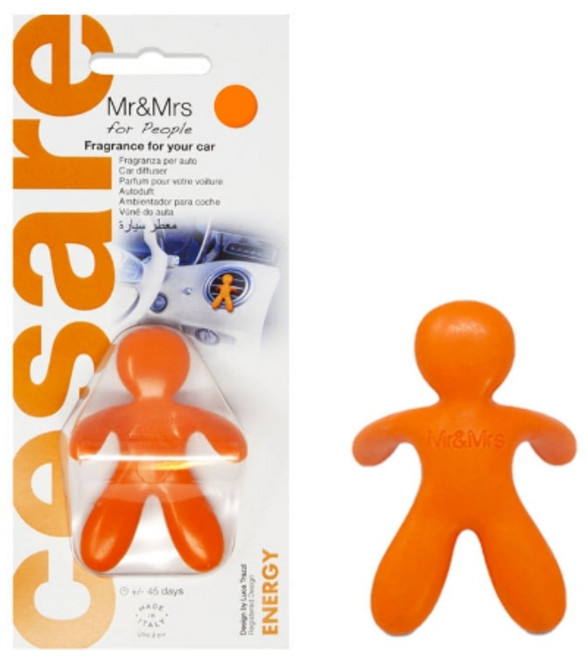 미스터앤미세스 체사레 블리스터 차량용 방향제, 20개