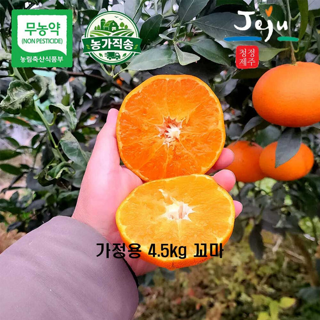 가정용 못난이 / 선물용 제주산 무농약 인증 레드향, 1개, 4.5kg 꼬마