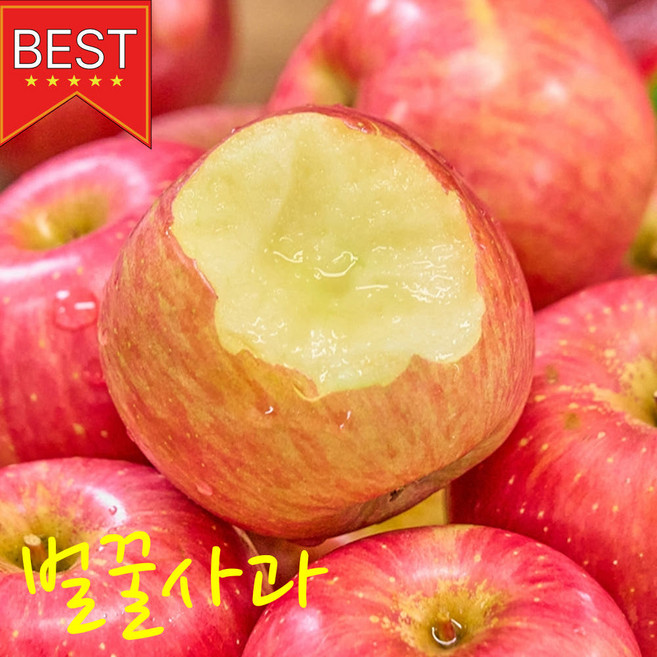 고당도 청송 꿀 사과 부사 얼음골, 1박스, 5kg 소과 못난이