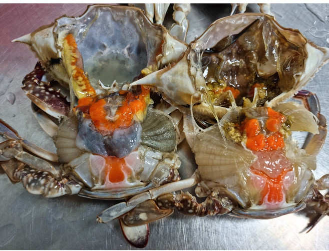 안면도 제철 생물 봄 암꽃게 100% 활꽃게 1kg/꽃게탕 꽃게찜, 1개, 1kg, 안면도 암꽃게 1kg-소소(5~6미)