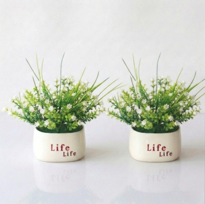 포인터러브 생화같은 변색없는 조화 꽃 화분 DIY, 2개, 화이트