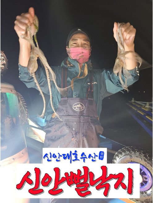 [당일잡이최저가]신안 무안 뻘낙지 산낙지 세발 싱싱한것만 배송 살아서도착 낙지, 5개, 3) 중낙지(100g~120g)