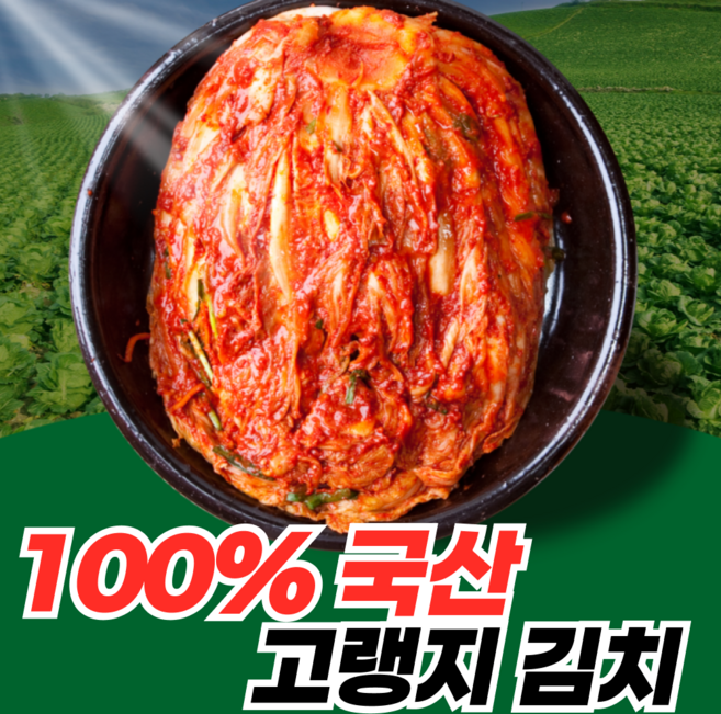 안군농원 국산 최상급 재료 강원도 고랭지 포기김치, 1개, 10kg