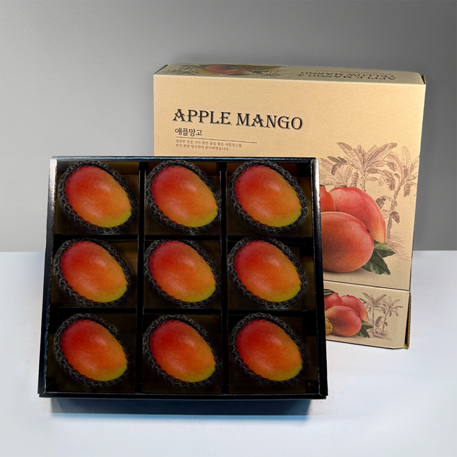 [선물세트] 애플망고 골드망고 프리미엄 과일세트, 1세트, 옵션6-1. 애플망고9입 (크라프트 패키지)