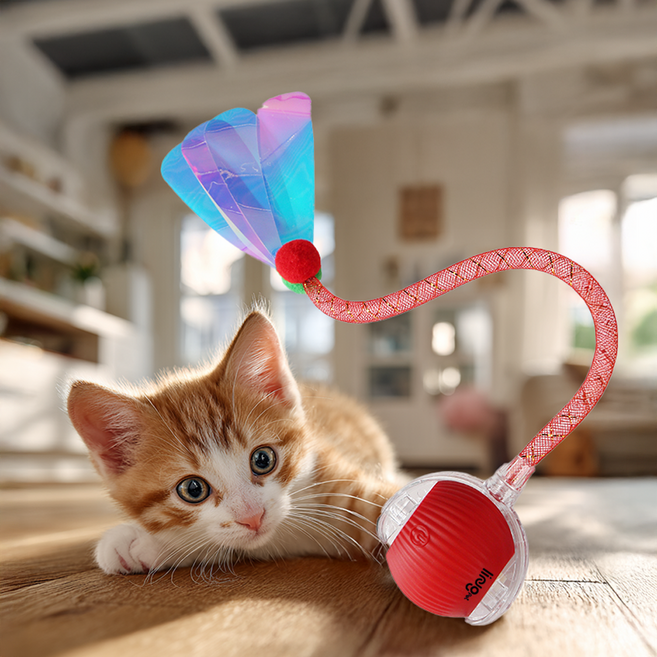 링펫 고양이 볼 자동장난감, 레드, 1개