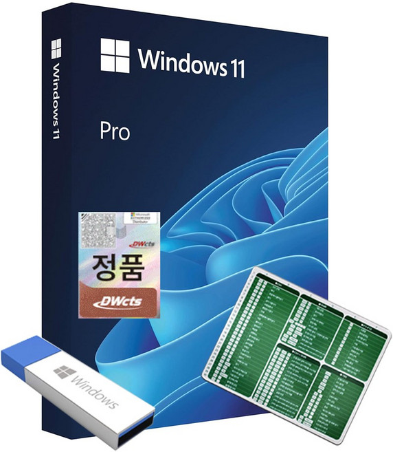 한국정품인증점 MS 윈도우 11 프로 Windows Pro FPP 영구사용 USB설치 제품키 + 엑셀 단축키 마우스패드, 단품