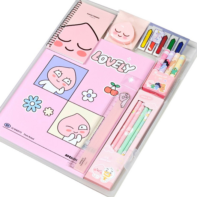 카카오프렌즈 알뜰 문구 세트 투명 화일케이스 패키지, 어피치, 1개