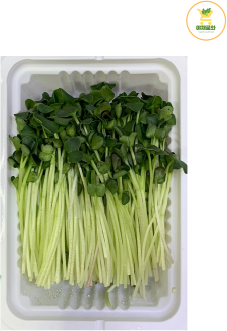 무순 50g/1팩, 1개