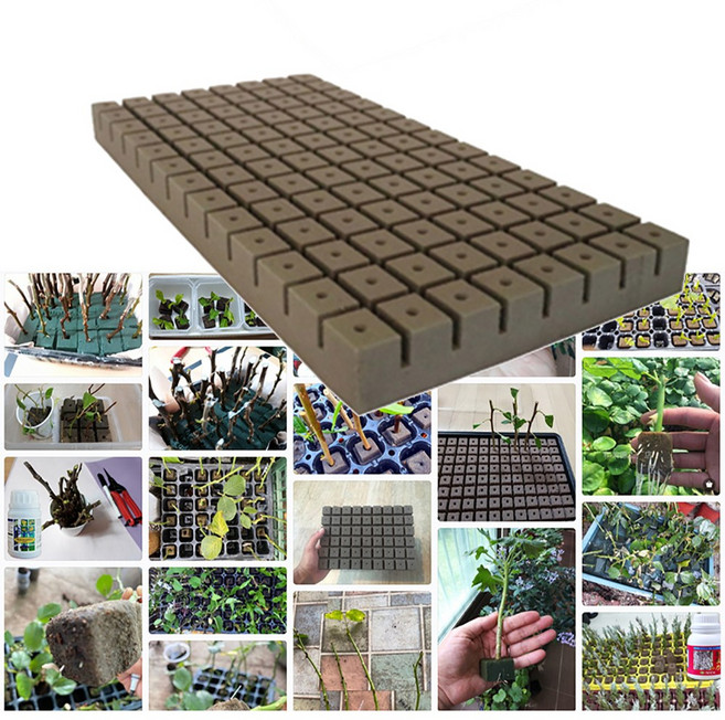 삽목용 오아시스 104구 1장, 10개