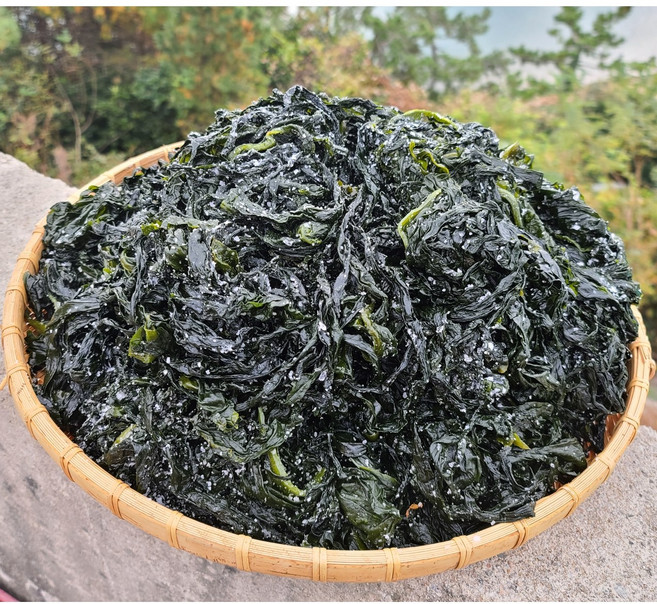완도 염장미역 5kg 햇미역 산지직송 산모미역, 1개