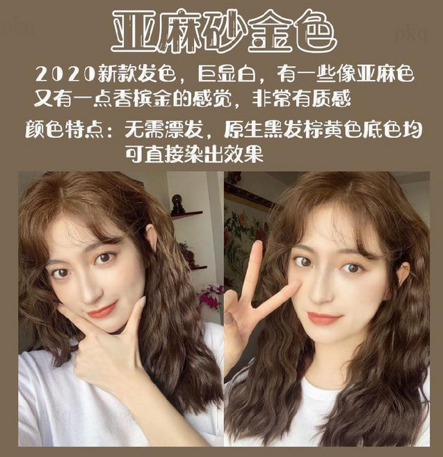 稻香茶色 泡沫染髮膏 顯白 植物染髮劑 女性專用, 亞麻砂金（流行潮色）,胸部以上髮量二盒裝【送全套染髮工具】, 1個