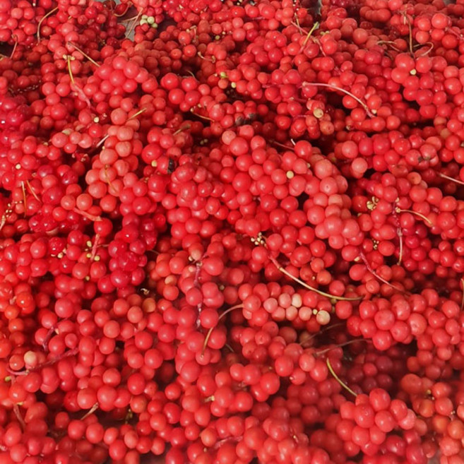 오미자10kg 25년 오미자로 담은 당절임 10kg 2통 오미자10kg 설탕10kg 담아둔 오미자청 문경오미자, 1개, 25년 오미자 10kg 담은 오미자당절임10kg 2통