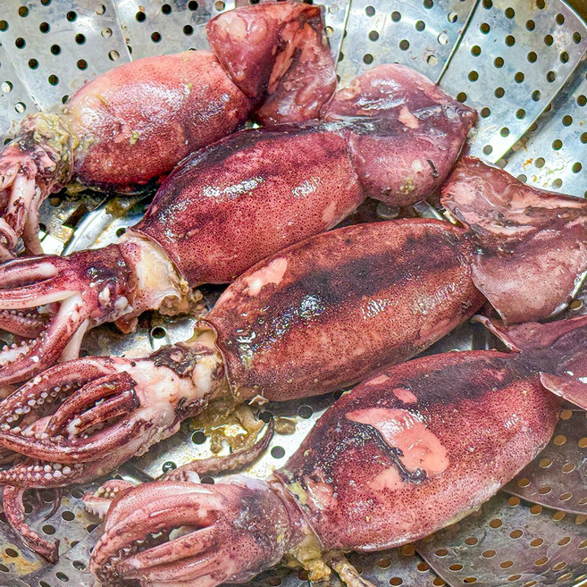 농가살리기 자연산 급냉 통찜오징어, 1개, 500g (4-7미 내외)