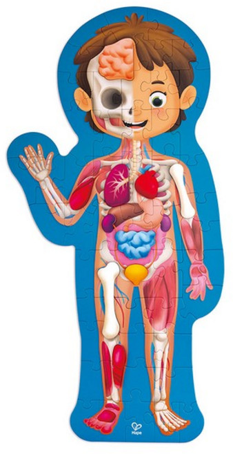 우리몸퍼즐/07-1635