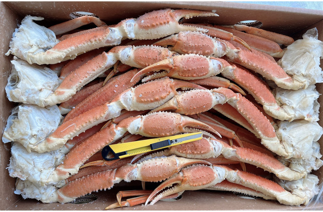 [신물입고]스노우크랩 대게 4L사이즈 2.5kg (홈파티 집들이용 3-4명) 마가단 자숙대게 냉동대게 대게섹션 러시아대게, 1개