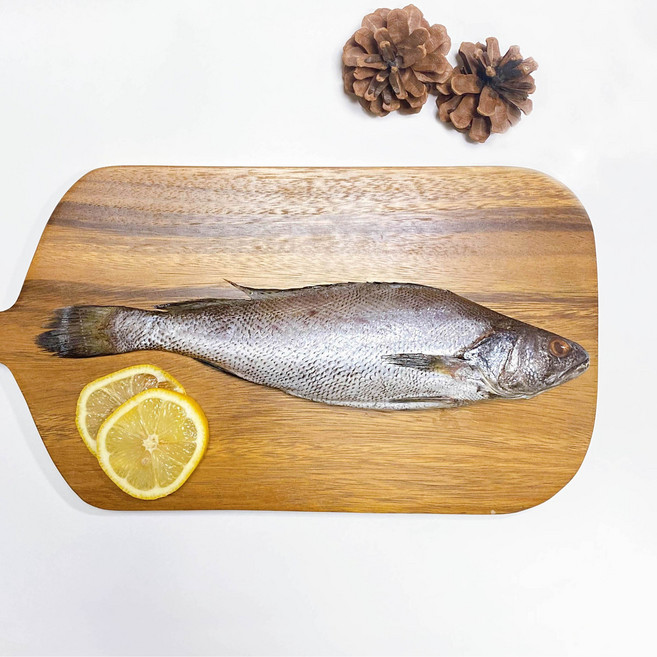 국내산 반건조 민어 급속냉동 실중량 500g (2미) [물장구], 1개