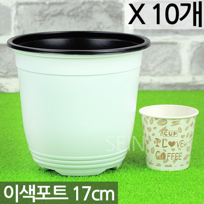 세인화분 국산 화이트 이색포트 화분 10P - 14호 15호 17호, 화이트 이색포트(17호)