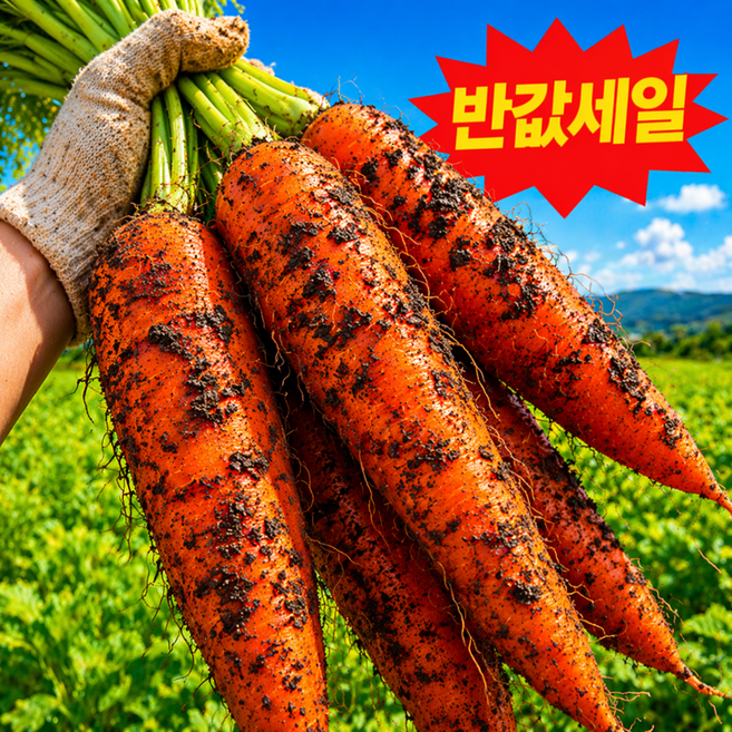 [국내최저가] 재구매율1위 산지직송 제주흙당근 구좌당근, 1박스, 10kg(왕)
