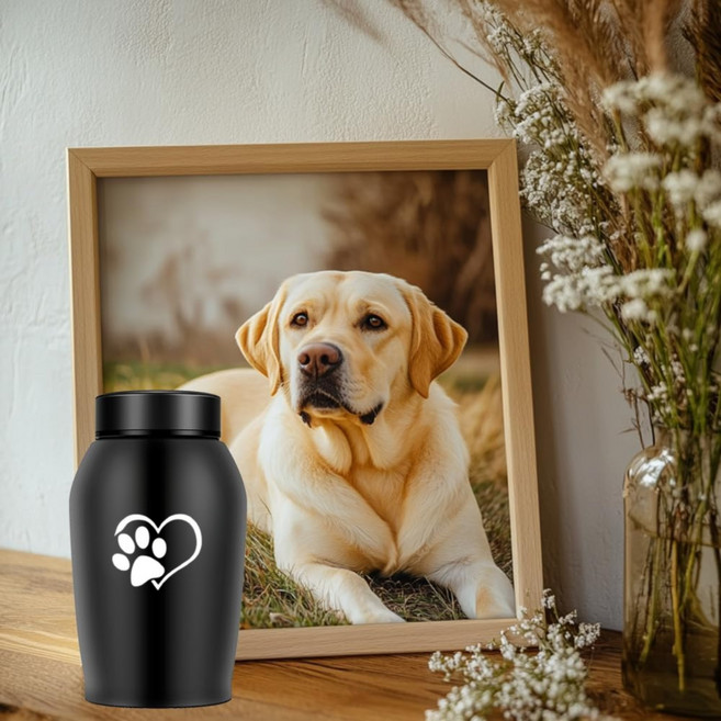 멍냥스토리 강아지 제습 유골함 밀폐 방습 추모함 블랙, 1개