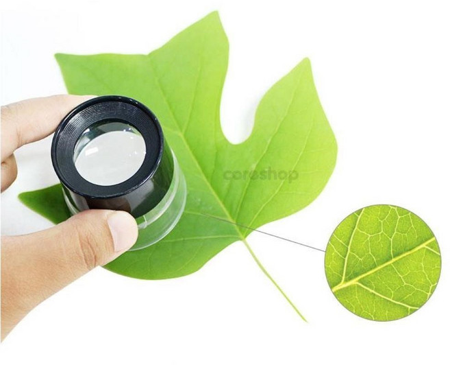 유아 바깥놀이 곤충식물 관찰놀이 목걸이확대경 자연학습 과학교구세트 돋보기확대경, 1개