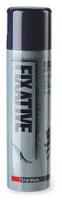 신한 전문가 파스텔정착액 픽사티브 150ml 스프레이, 1개, 상세페이지 참조