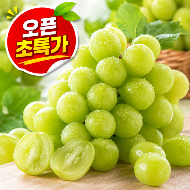 [고당도 보장] 하우스 프리미엄 18brix 고당도 샤인머스켓, 1박스, 500g 실속형 (1수)